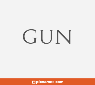 Gun