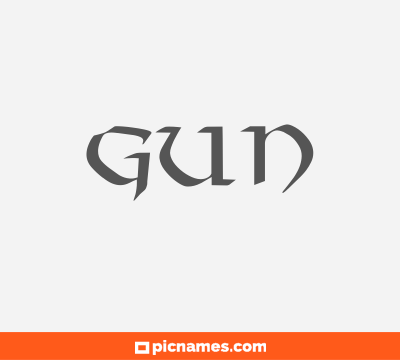 Gun