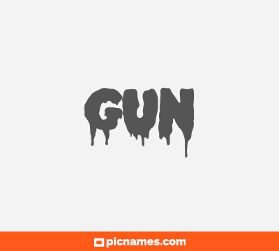 Gun