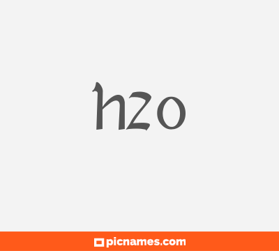 H2O