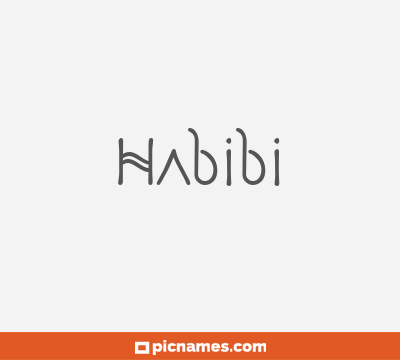 Habibi