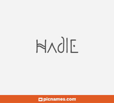 Hadle