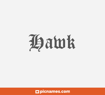 Hawk