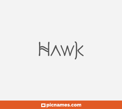 Hawk