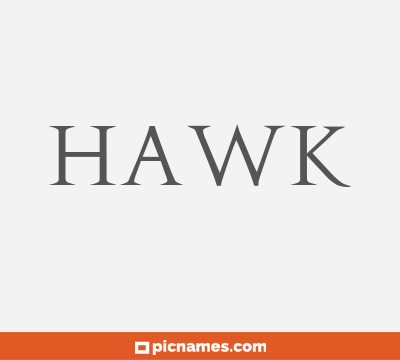 Hawk