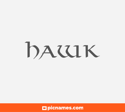 Hawk