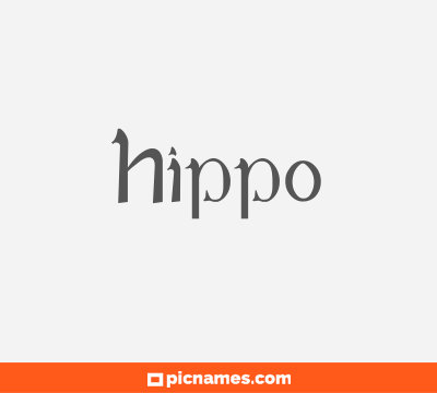 Hippo