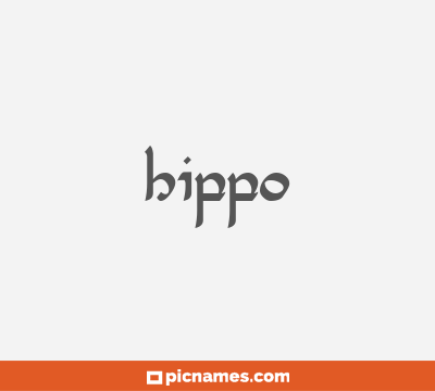 Hippo