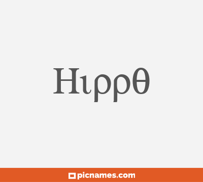 Hippo