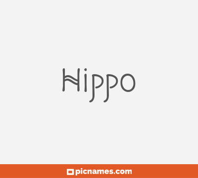 Hippo