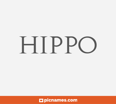 Hippo