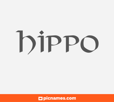 Hippo