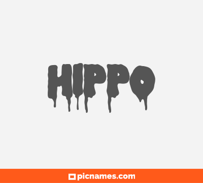 Hippo