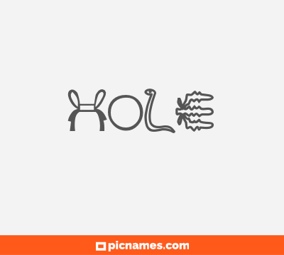 Hole