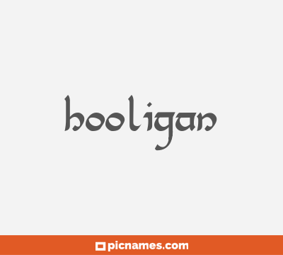 Hooligan