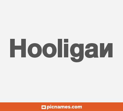 Hooligan