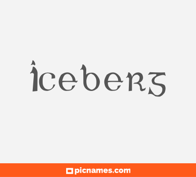 Iceberg