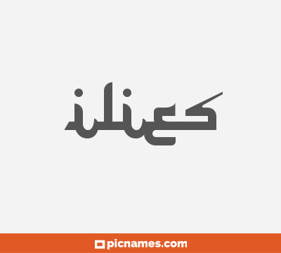 Ilies