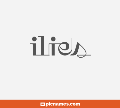Ilies