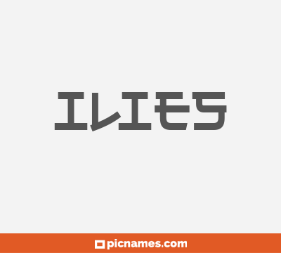 Ilies
