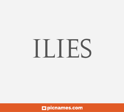 Ilies
