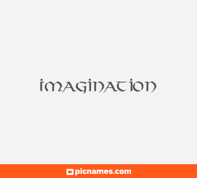 Imagination