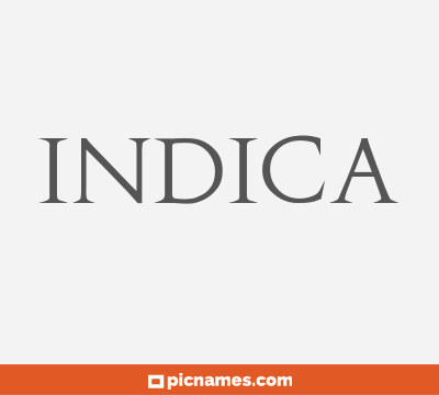 Indica