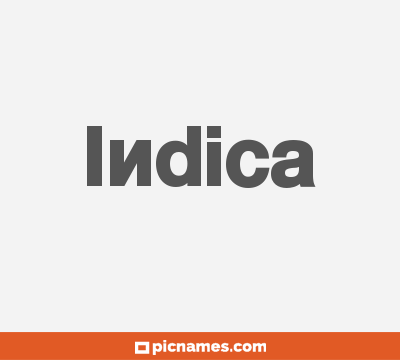 Indica