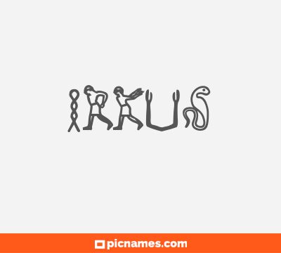 Irkus