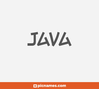 Java