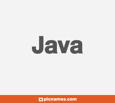 Java