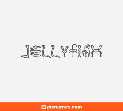 Jellyfish