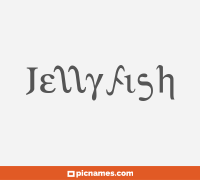 Jellyfish