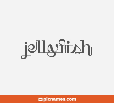 Jellyfish
