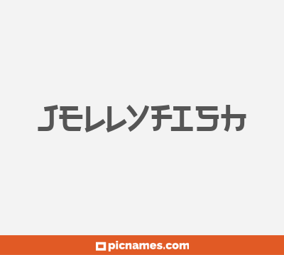 Jellyfish