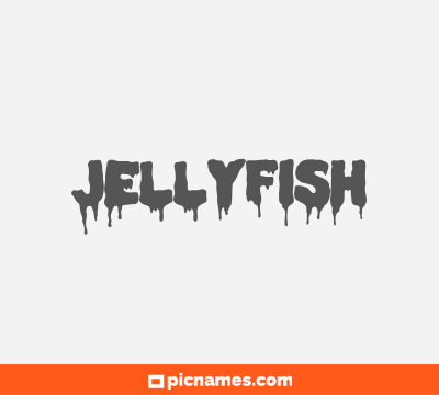 Jellyfish