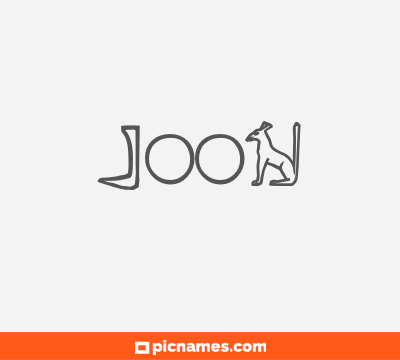 Joon