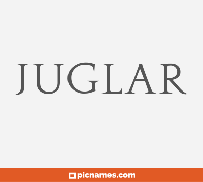 Juglar