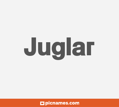 Juglar