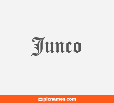 Junco