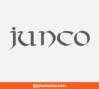 Junco