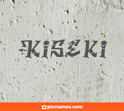 Kiseki
