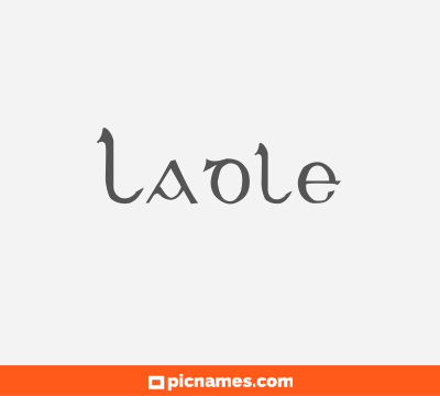 Ladle