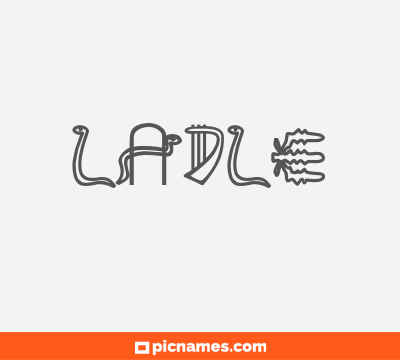 Ladle