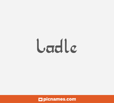 Ladle