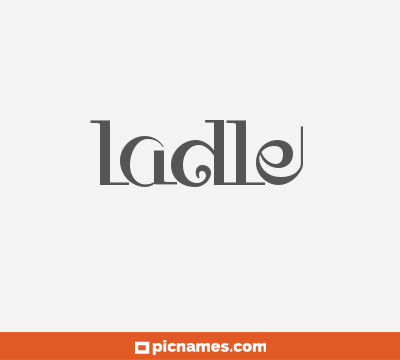 Ladle