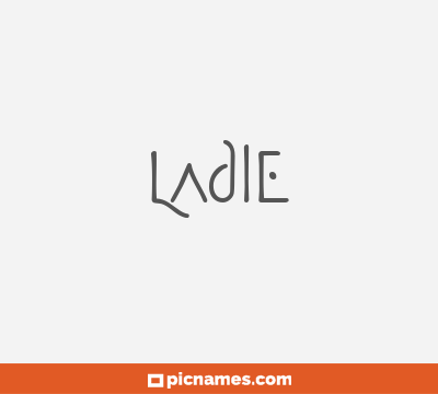 Ladle