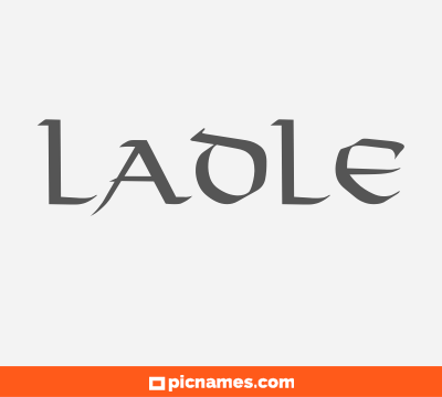 Ladle