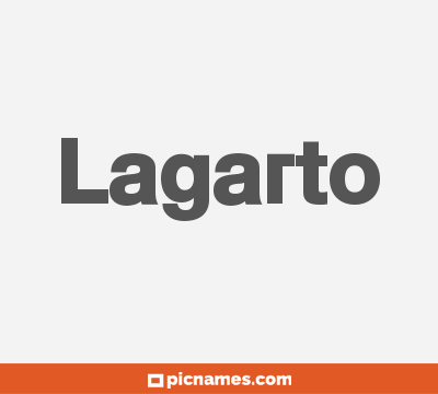 Lagarto