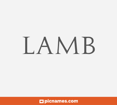 Lamb